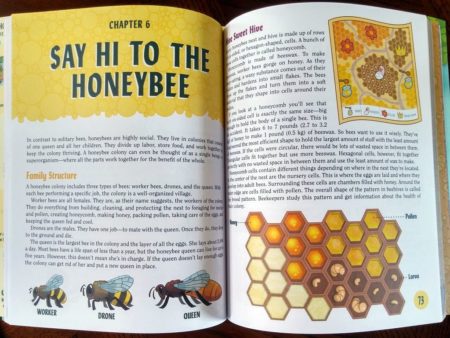 Say Hi to the Honeybee